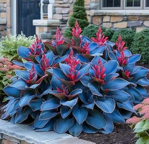 Хоста Грин Фог купить по цене от 669р. в интернет-магазине «Посадика» с доставкой почтой в в Алейске и по всей России – [изображение №1].